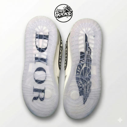Air Jordan Low Dior